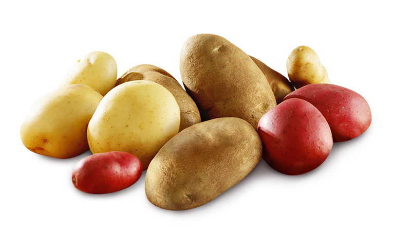 Table Stock Potatoes